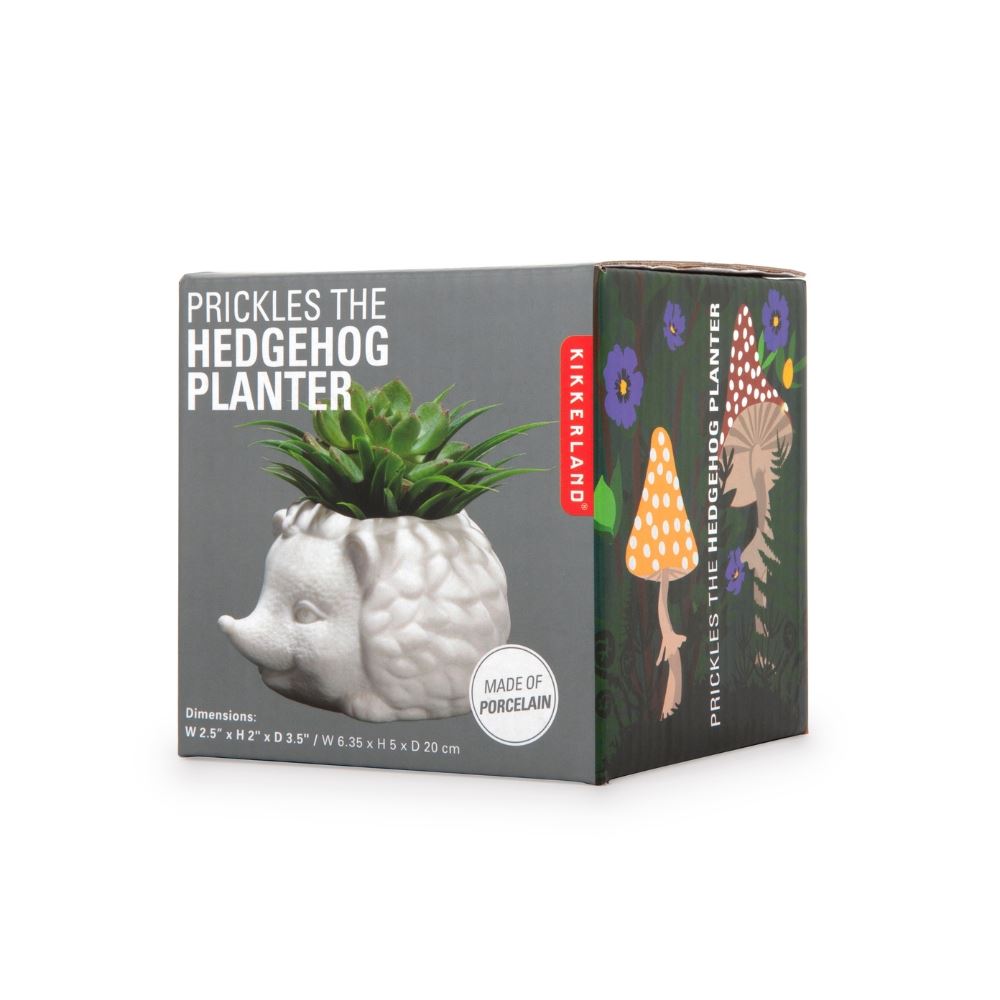 Maceta De Cerámica Erizo - Prickles Hedgehog